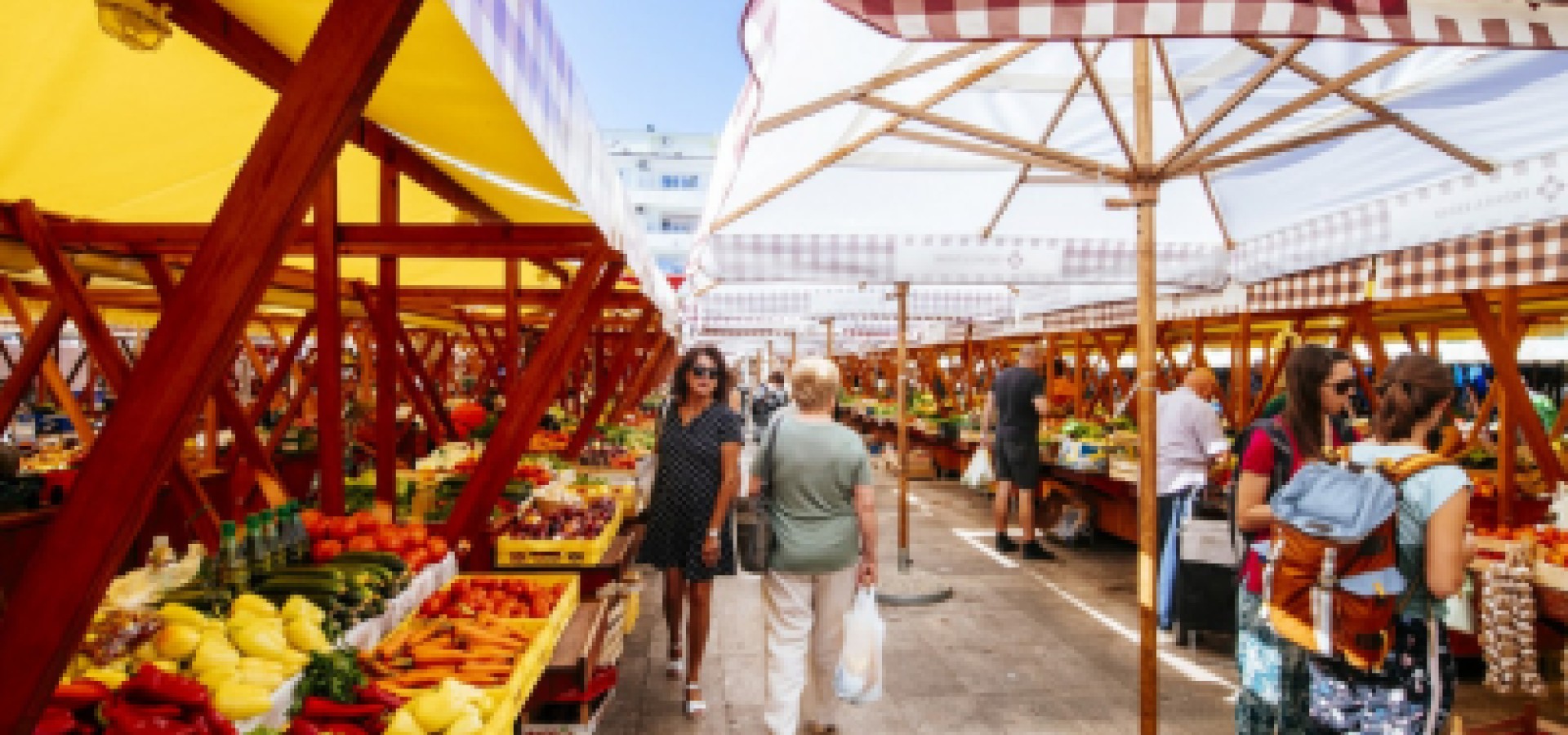 Zadar uncovered – cityscape adventure