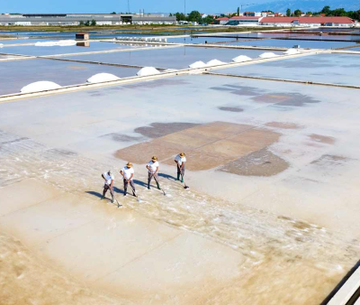 saltmines